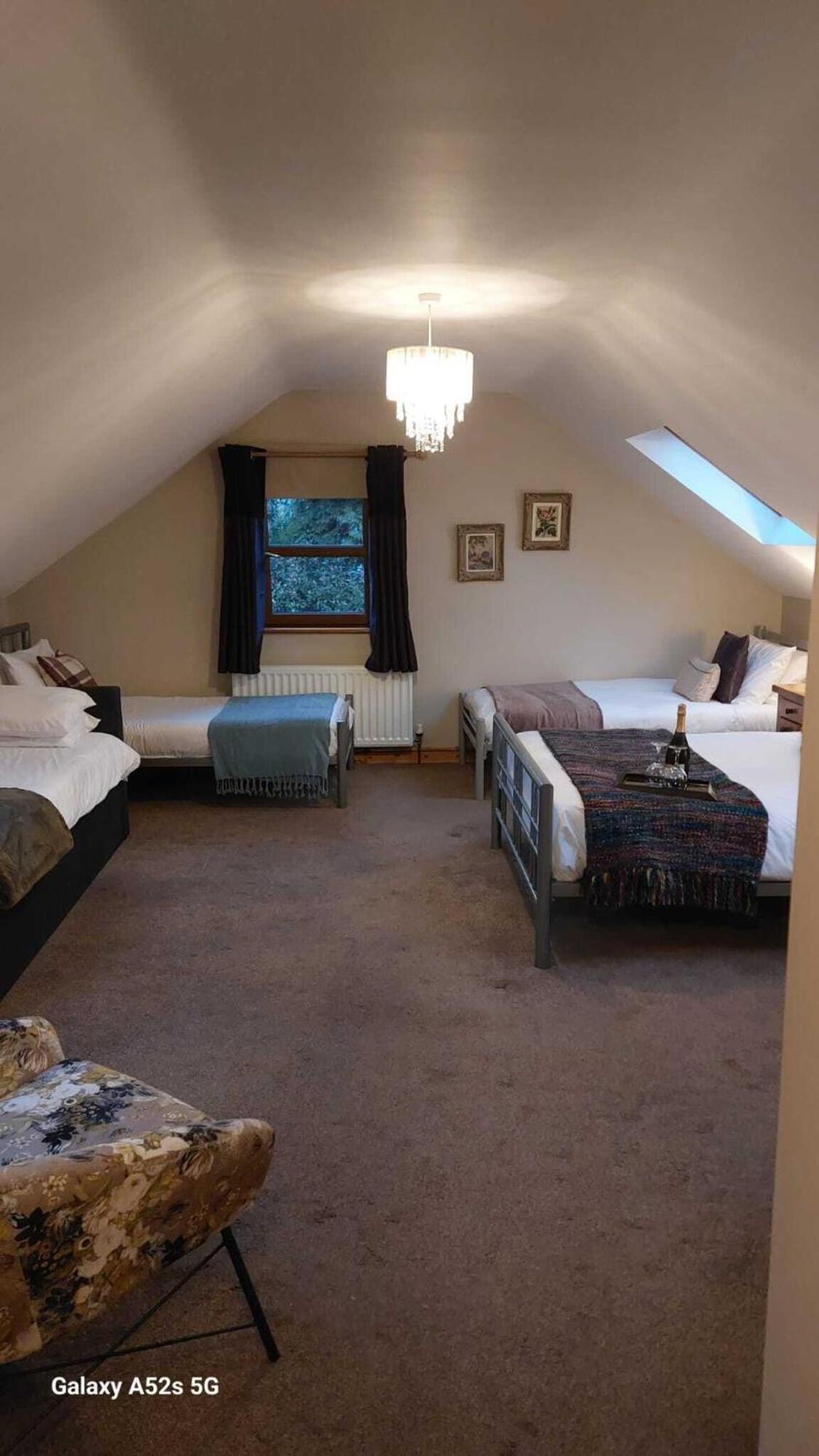 Dunhill Cottage B&B Hillsborough Ruang foto